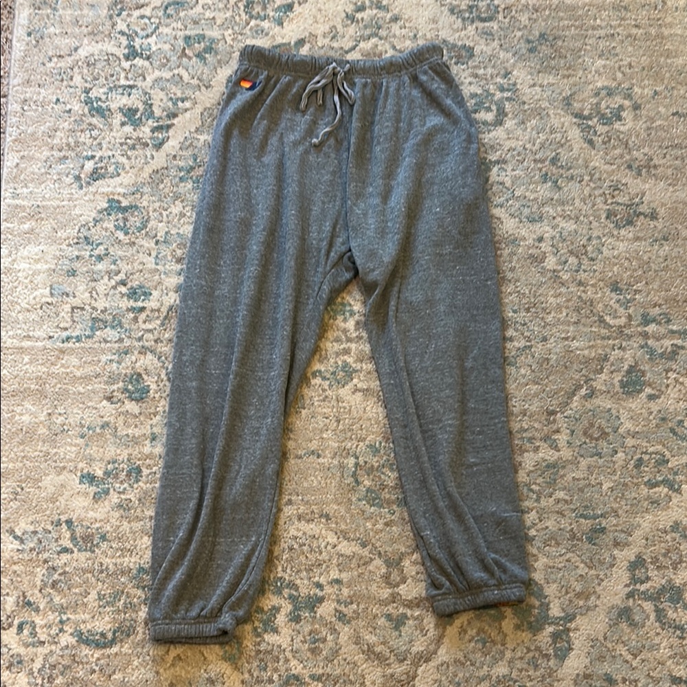 Aviator Nation Gray Sweatpants with Rainbow Stripe